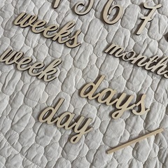 月例フォトセットの画像