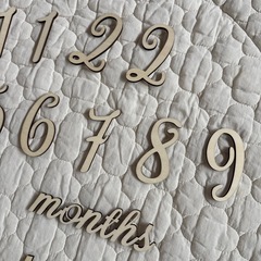 月例フォトセットの画像