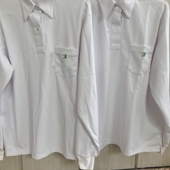 新品⭐︎未使用！
泉丘高等学校　女子長袖　ポロシャツの画像