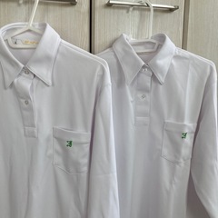 新品⭐︎未使用！
泉丘高等学校　女子長袖　ポロシャツの画像