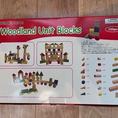 積み木100個セットの画像