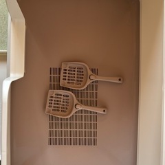 猫トイレの画像