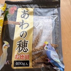 鳥の水入れ　　おまけ付きの画像