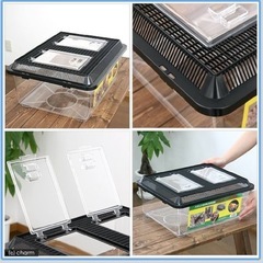 鈴木製作所 飼育容器 特大フラット 黒(435×345×198mm) プラケース サカナ用の画像