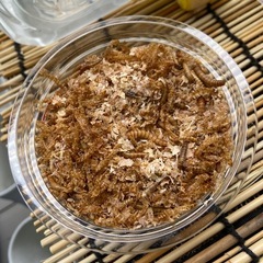 ミルワーム お譲りします！の画像