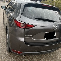 CX5の画像