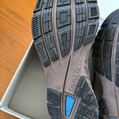 スニーカー、カラーミックスの画像