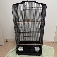 鳥籠　　大きめサイズの画像