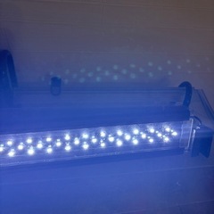 決まりました！LEDライトの画像