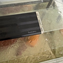 決まりました！LEDライトの画像