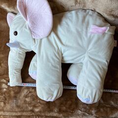 くたくたゾウさんの画像