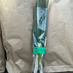 長ネギ！！２本で150円！！の画像