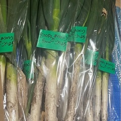 長ネギ！！２本で150円！！の画像
