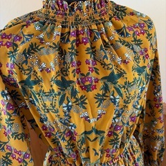 ワンピースの画像