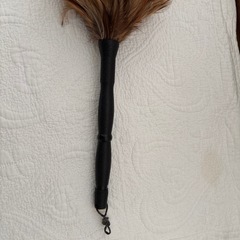 毛バタキの画像