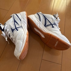 体育館シューズの画像