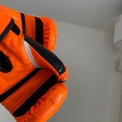 グローブの画像