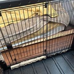 リッチェル　木製スライドペットサークル　ペットケージ　ワイドの画像