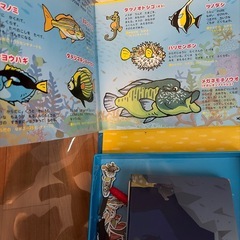 マグネットさかなつり　ずかんの画像