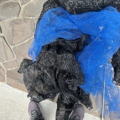 猫よけネットの画像