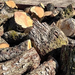 薪ストーブ　果樹の画像