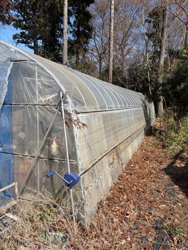 
ビニールハウス(12m×4.5m)状態良好　/解体運搬出来る方限定