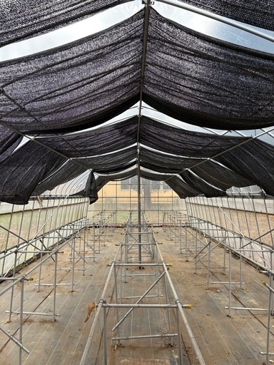 
ビニールハウス(12m×4.5m)状態良好　/解体運搬出来る方限定