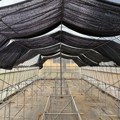ビニールハウス(12m×4.5m)状態良好　/解体運搬出来る方限定の画像