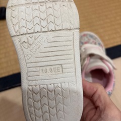 幼児運動靴の画像