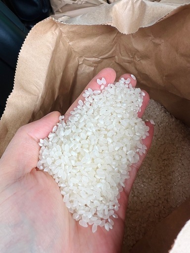 令和7年度米 新米　虹のきらめき米 白米　美味しい米10キロ　6000円