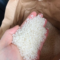 受付終了】①新米 R7年産あいちのかおり 玄米30㎏ お米 (ドナルド 