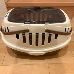 ペット犬お迎え4点 セットの画像