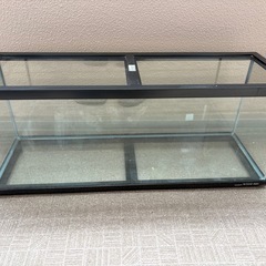 水槽2個セット　おまけ付きの画像