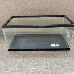 水槽2個セット　おまけ付きの画像