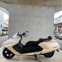 ヤマハ　マグザム250！セル一発始動！オイル交換済みの画像