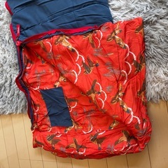 Coleman寝袋の画像