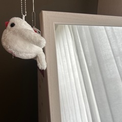 全身ミラーの画像