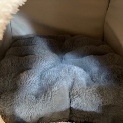 ペットハウスの画像