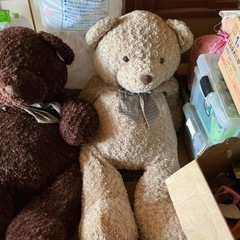 本日限定販売大きなクマのぬいぐるみの画像