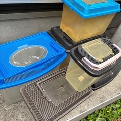 訳あり　虫カゴの画像