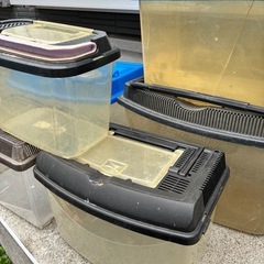 訳あり　虫カゴの画像