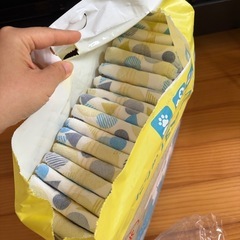 犬のオムツ　XSサイズ　小型犬用　オスよう用の画像