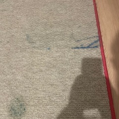カーペット　2枚の画像
