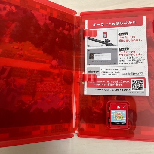 ぽこあポケモン　Switch2