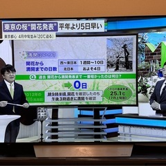 LG 65v型 4K対応 有機ELテレビ OLED65C7P 2017年ジャンク  の画像