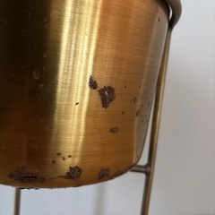 プランター差し上げますの画像