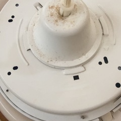 電気のかさの画像