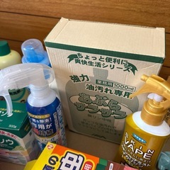 防虫　ポット洗浄　和紙　業務用　あぶらサラサラ　加湿器用洗剤などまとめての画像