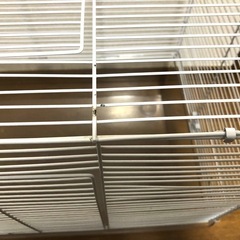小動物 ケージ  シンプル 檻  差し上げます。の画像