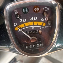 ホンダ　リトルカブ AA01 50cc  の画像